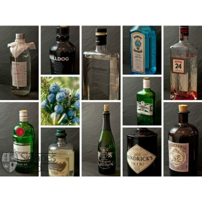 Gin